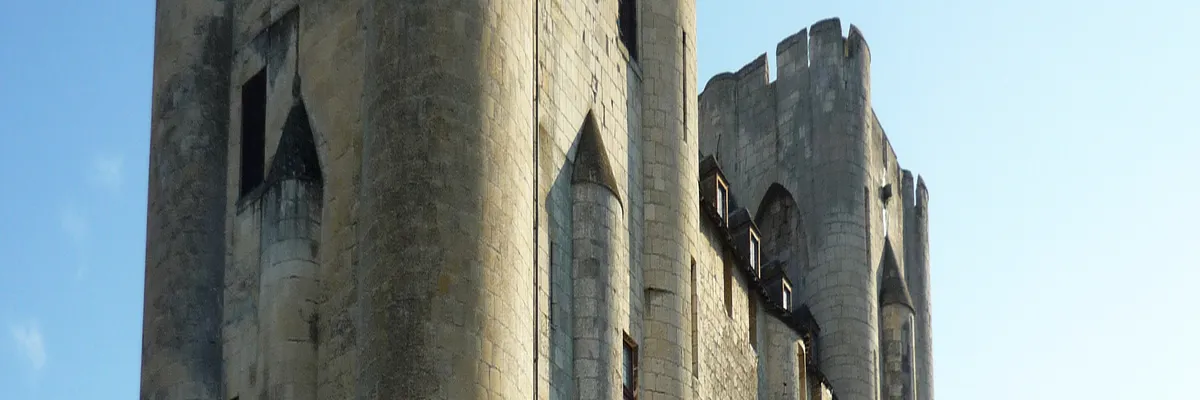 Image Installateur borne de recharge Niort