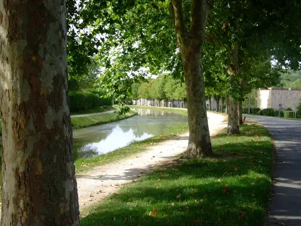 Borne Recharge Pro Installateur borne de recharge Saint-Amand-Montrond Borne Recharge Pro Installateur borne de recharge Saint-Amand-Montrond